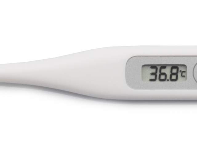 Thermometers - temp smart